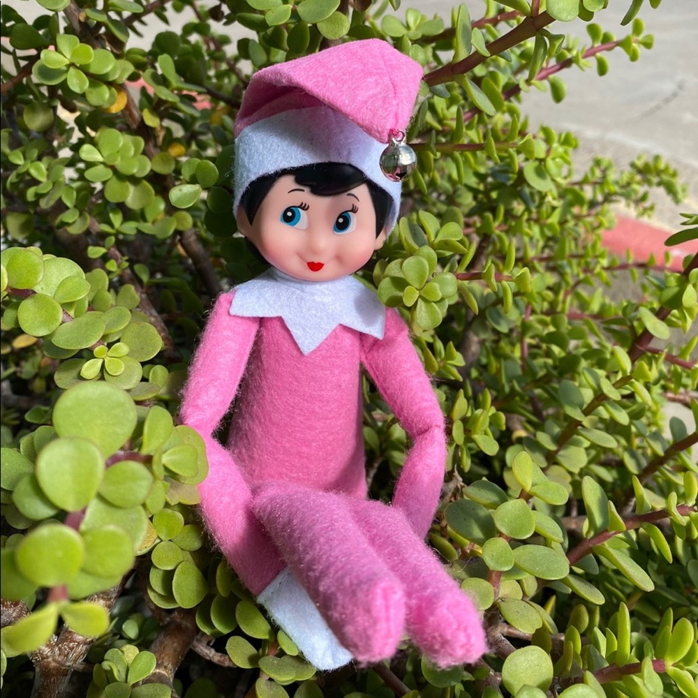 Girl elf on the shelf